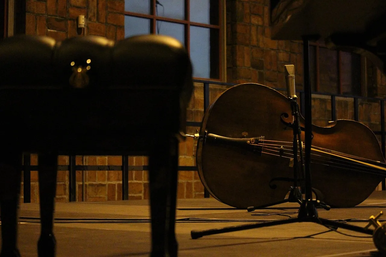 Double bass and piano on stage Double bass and piano on stage