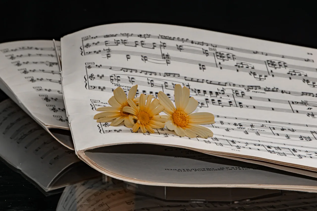 Sheet music decorated with yellow flowers Sheet music decorated with yellow flowers