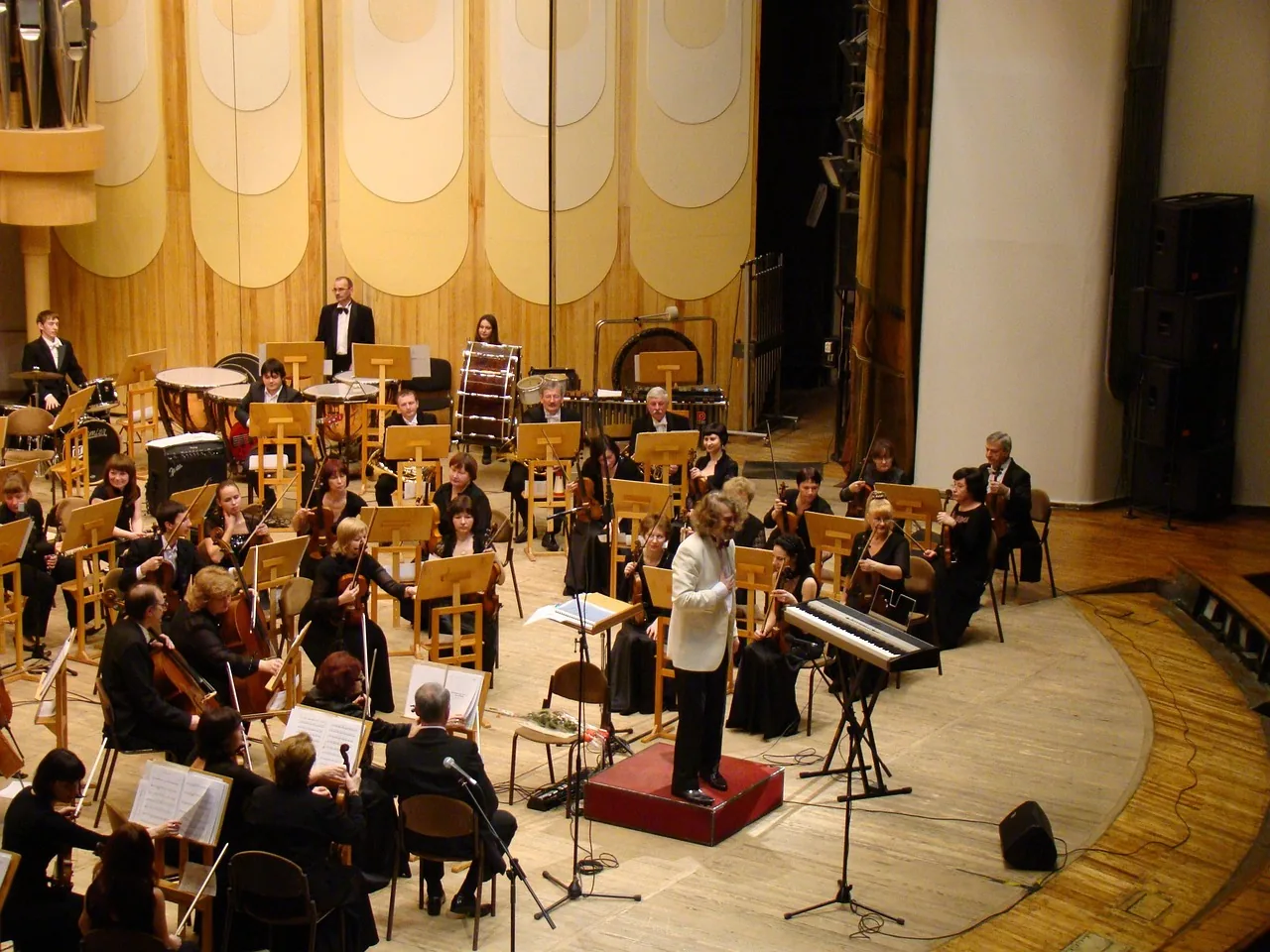Orchestra and percussion in a concert hall Orchestra and percussion in a concert hall