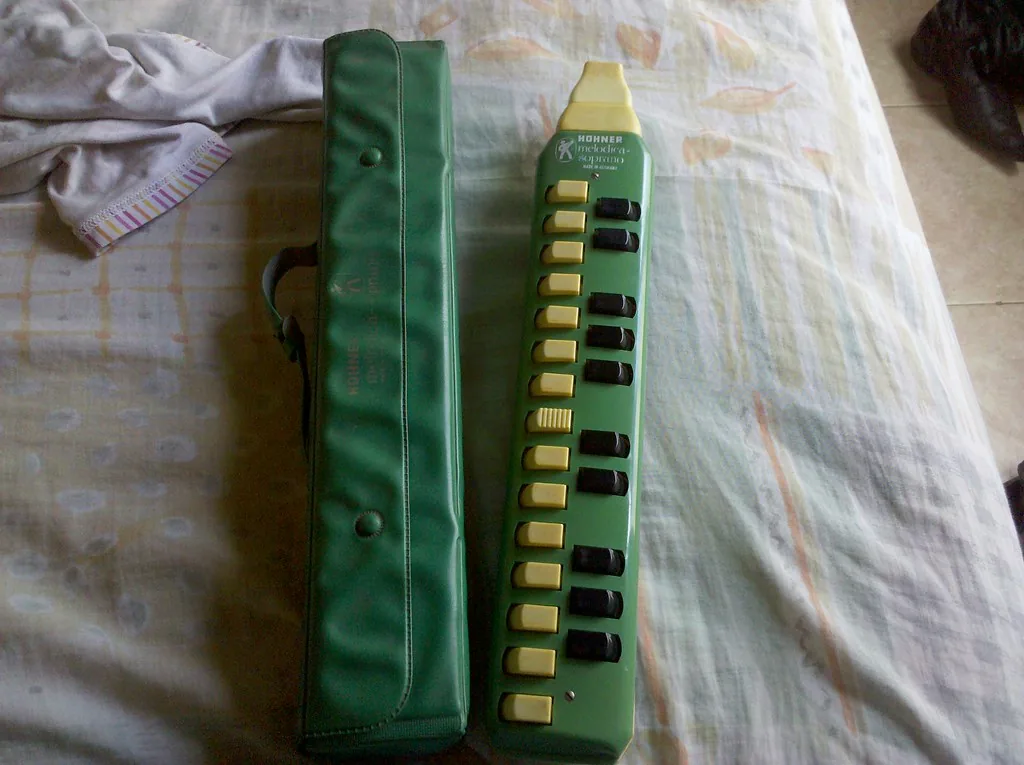 Buying a Melodica: Criteria to Check