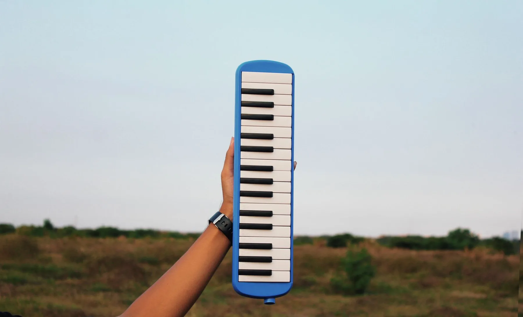 Blue professional melodica held outdoors Blue professional melodica held outdoors
