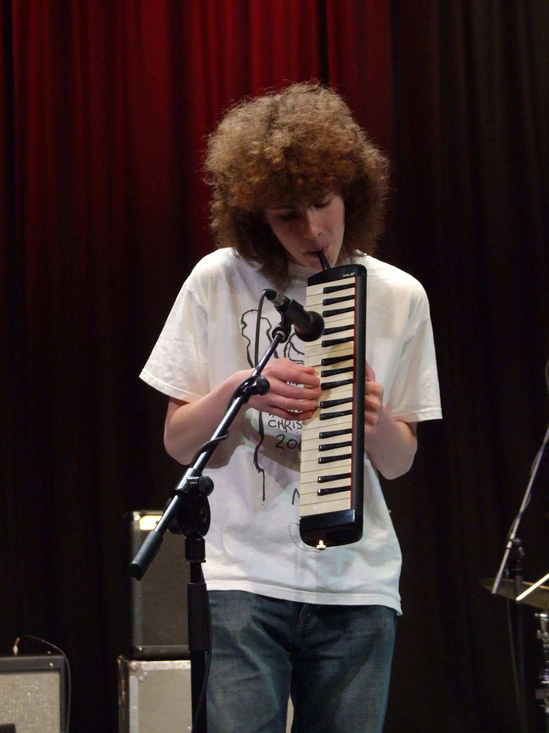 Musician playing a melodica on stage Musician playing a melodica on stage