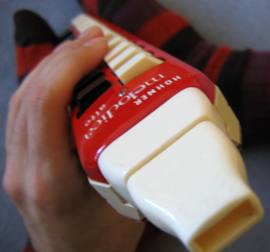 Bass melodica: what is this rare model used for?