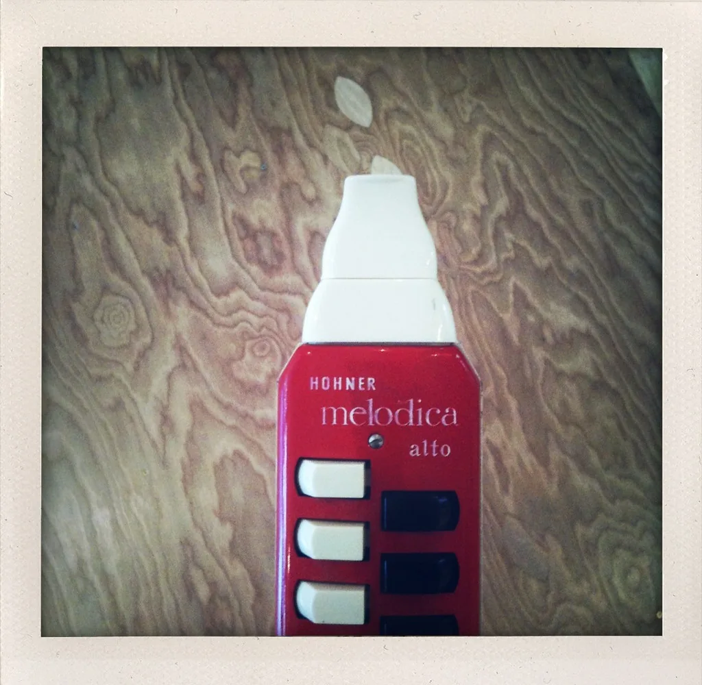 Red alto melodica for beginners Red alto melodica for beginners